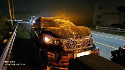 2016 Kia Sorento 624KMKNAPH81BDGA1 VIN:624KMKNAPH81BDGA1