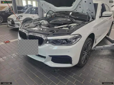 2020 BMW 520 WBAJF5108LCE75543 VIN:WBAJF5108LCE75543