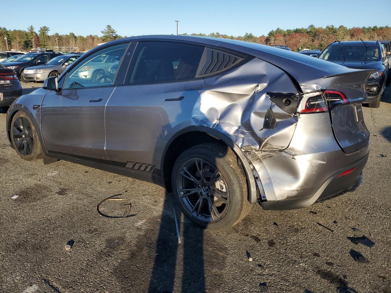 2024 TESLA MODEL Y  VIN:7SAYGDEEXRA300170