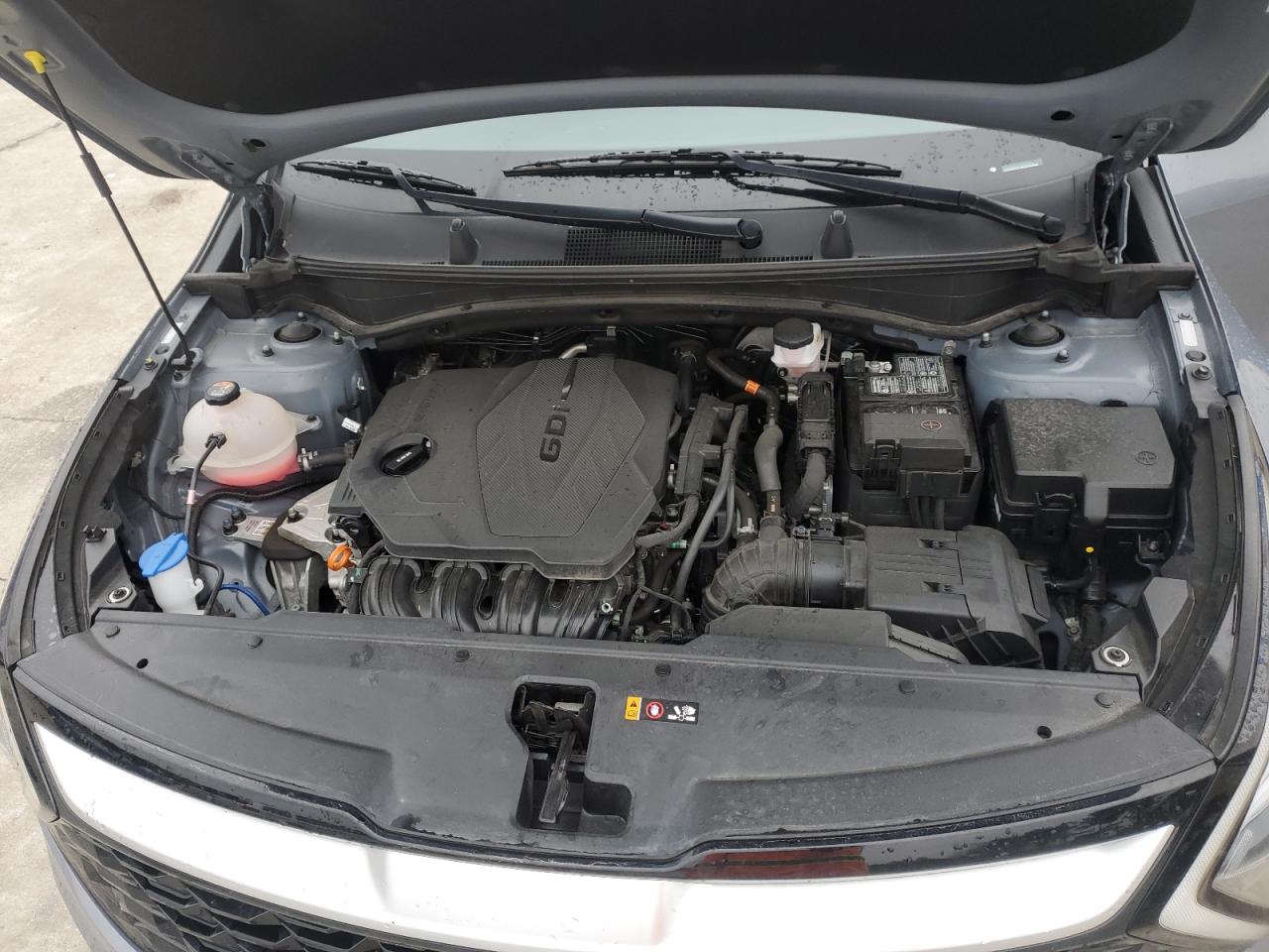 2023 KIA SPORTAGE EX VIN:5XYK33AF7PG047244