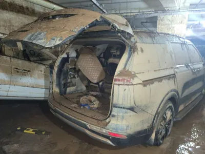 2021 Kia Carnival KNHNB37BBMS049575 VIN:KNHNB37BBMS049575