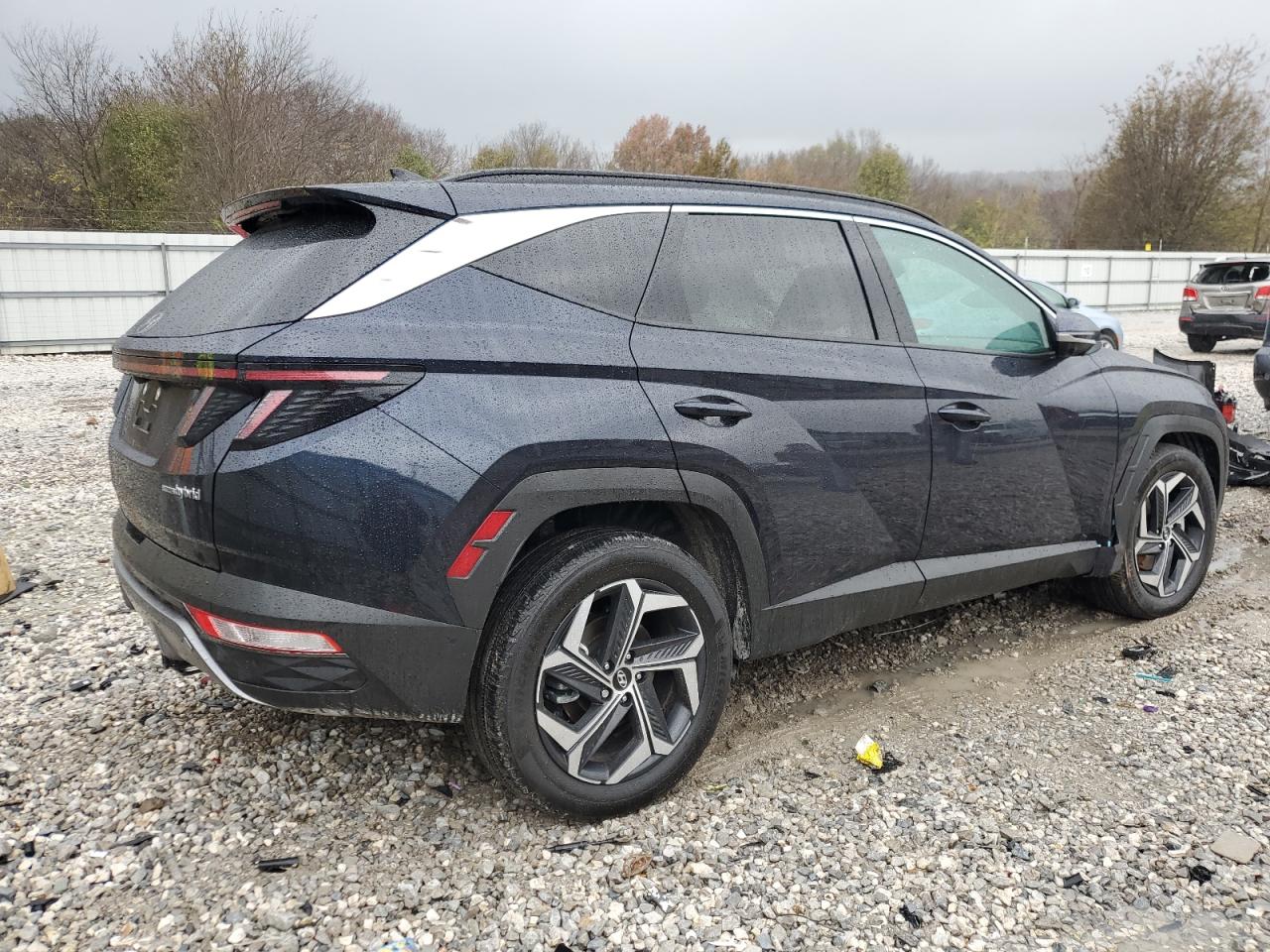 2024 HYUNDAI TUCSON LIMITED VIN:KM8JECD10RU204650