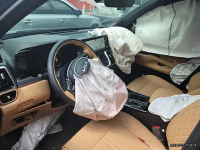 2023 Kia Sorento KNARH81GBPA150924 VIN:KNARH81GBPA150924