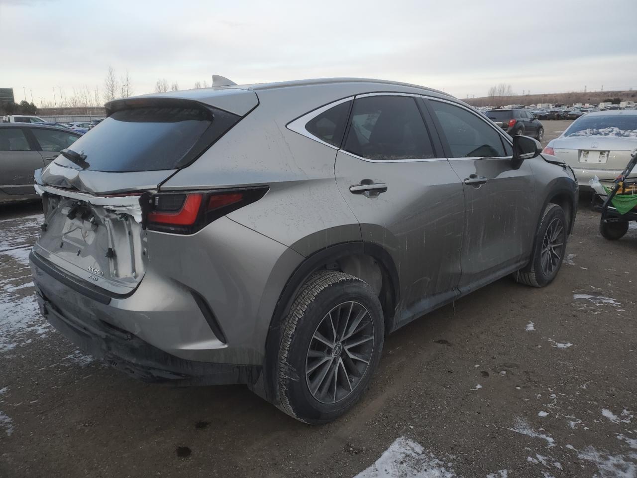 2023 LEXUS NX 250 VIN:2T2ADCEZ7PC003135