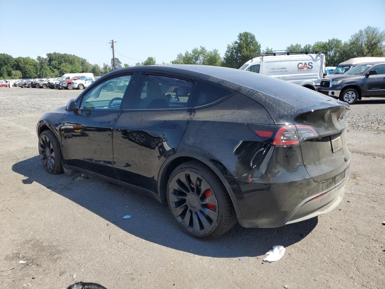 2023 TESLA MODEL Y  VIN:7SAYGDEF2PF814121