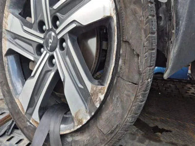 2022 Kia Sorento KNARM81GBNA114201 VIN:KNARM81GBNA114201