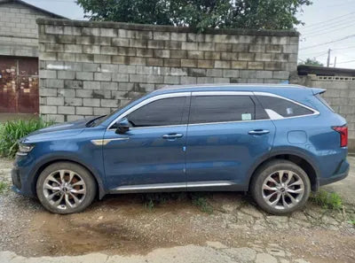 2021 Kia Sorento KNARG81BHMA024466 VIN:KNARG81BHMA024466