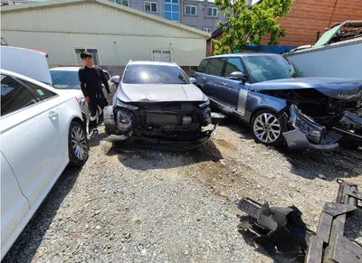 2019 Hyundai Santa FE KMHS381BBKU156411 VIN:KMHS381BBKU156411