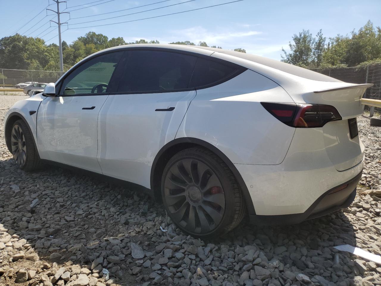 2022 TESLA MODEL Y  VIN:7SAYGDEF9NF463043