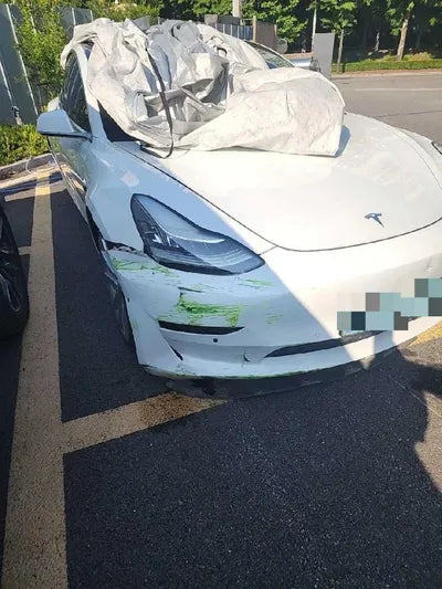 2019 Tesla Model 3 VIN: