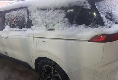 2020 Kia Carnival VIN: