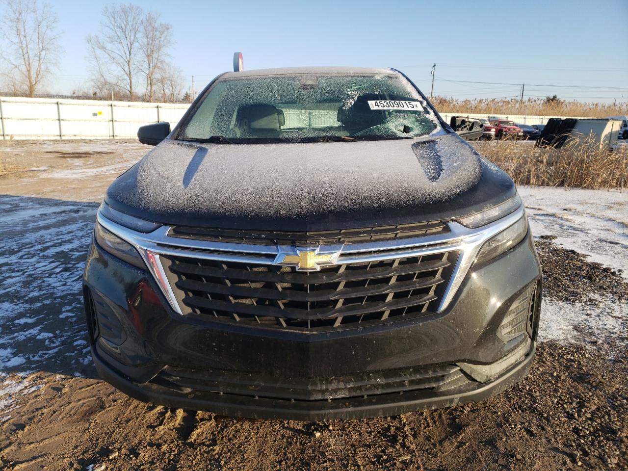 2023 CHEVROLET EQUINOX LS VIN:3GNAX5EGXPL238669