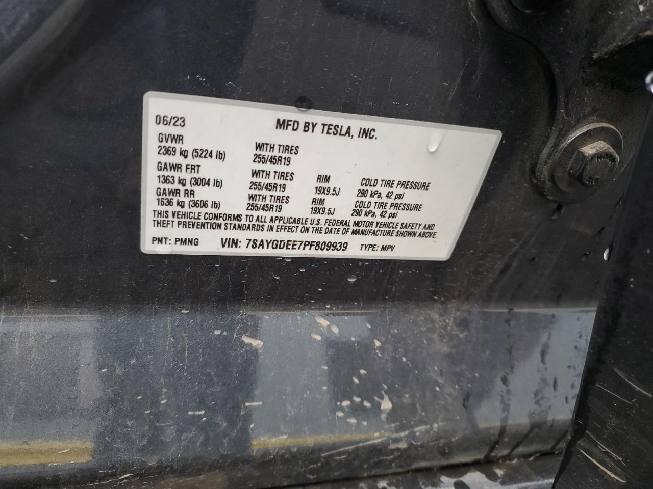 2023 TESLA MODEL Y  VIN:7SAYGDEE7PF809939
