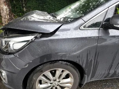 2017 Kia Carnival VIN: