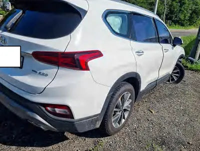 2019 Hyundai Santa FE KMHS281CDKU096955 VIN:KMHS281CDKU096955