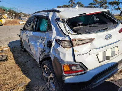 2019 Hyundai Kona KMHK4815GKU400826 VIN:KMHK4815GKU400826