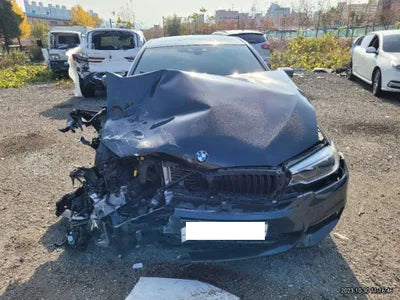 2020 BMW 520 WBAJF5106LCD44448 VIN:WBAJF5106LCD44448