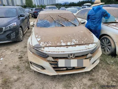 2019 Honda Accord VIN: