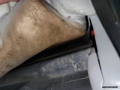 2021 BMW X4 M NONE VIN: