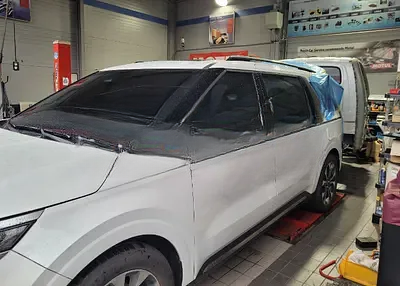 2023 Kia Carnival KNANE813BPS217004 VIN:KNANE813BPS217004