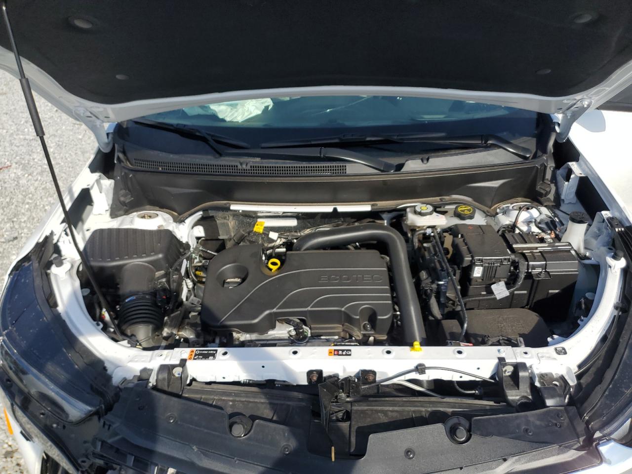 2024 CHEVROLET EQUINOX LS VIN:3GNAXHEG8RL353971