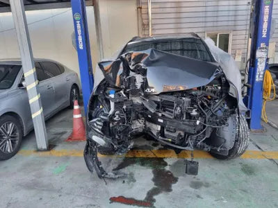 2021 Kia Sportage KNAPX81GBNK006222 VIN:KNAPX81GBNK006222