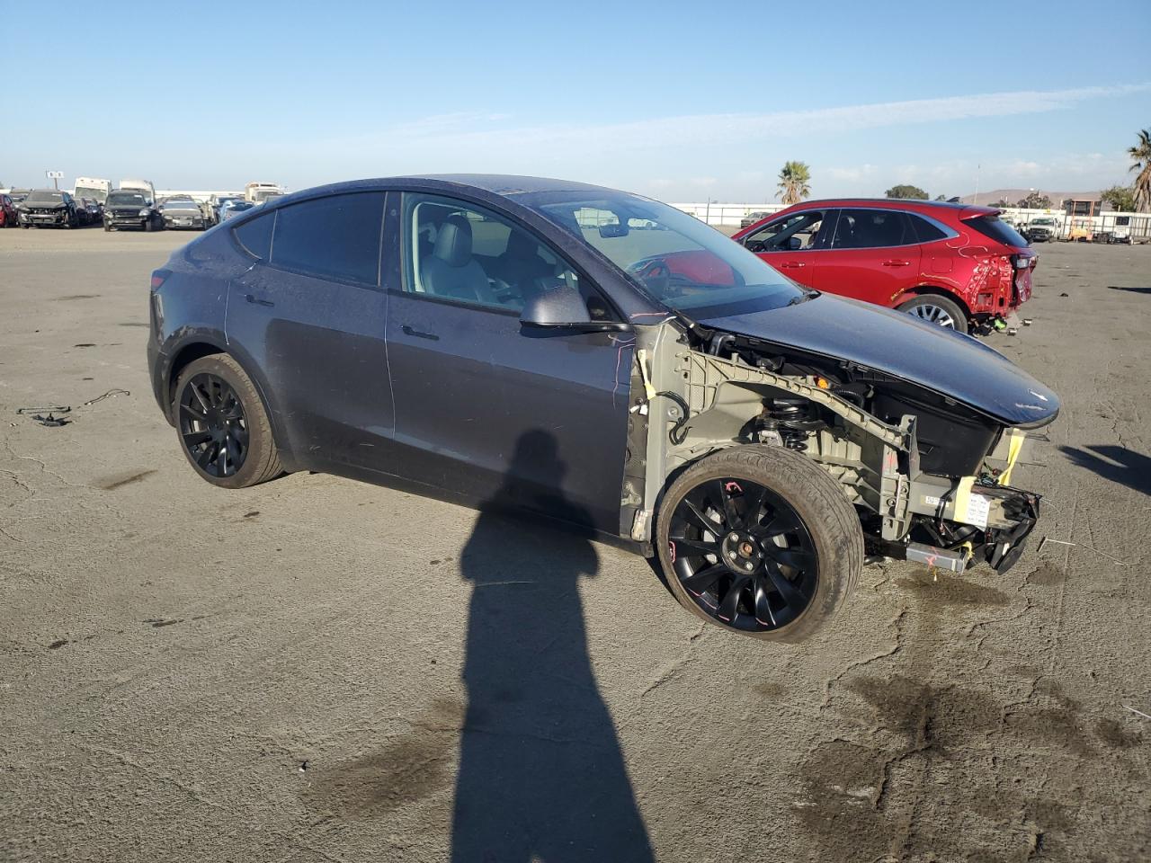 2023 TESLA MODEL Y  VIN:7SAYGDEE5PA077663