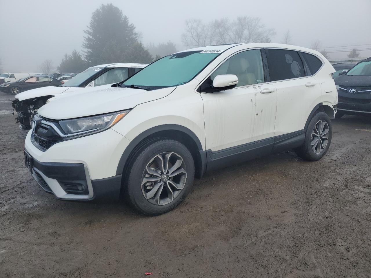 2022 HONDA CR-V EXL VIN:2HKRW2H85NH655812