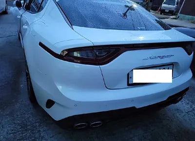 2019 Kia Stinger KNAE351ABKS058699 VIN:KNAE351ABKS058699