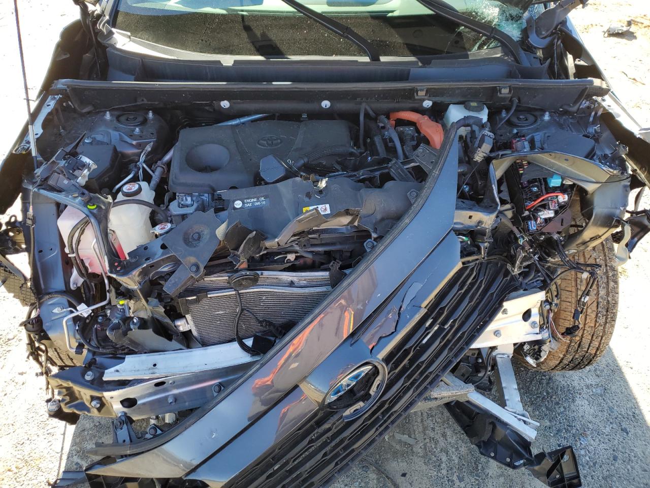 2024 TOYOTA RAV4 XLE VIN:2T3RWRFV5RW196846