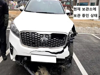 2019 Kia Sorento KNAPG81BDKA540068 VIN:KNAPG81BDKA540068