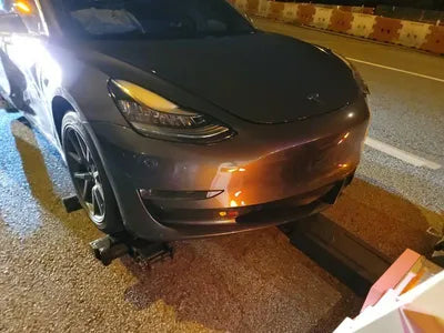 2020 Tesla Model 3 5YJ3E1EB9LF725407 VIN:5YJ3E1EB9LF725407