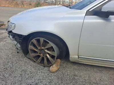 2016 Audi 80 790KMYV1AS73BDG11 VIN:790KMYV1AS73BDG11