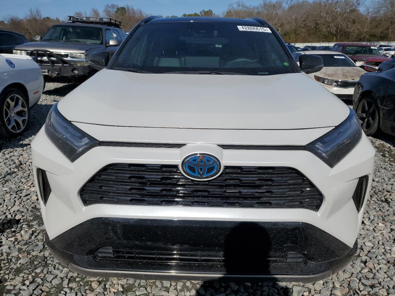 2023 TOYOTA RAV4 XSE VIN:2T3E6RFV6PW043193