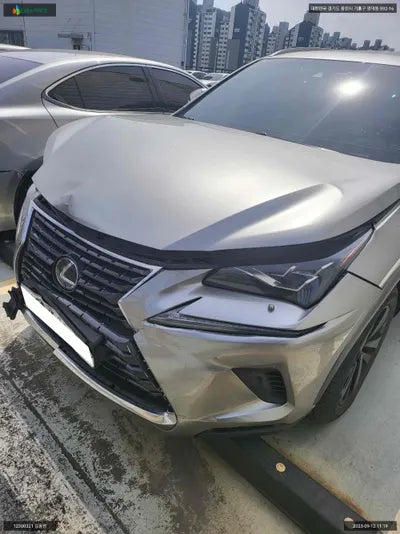 2019 Lexus NX 300 JTJBJRBZ5K2120967 VIN:JTJBJRBZ5K2120967