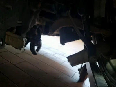 2020 BMW 530 WBAJS910XLCE04024 VIN:WBAJS910XLCE04024