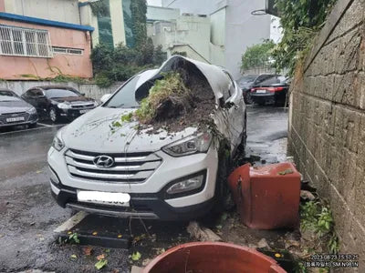 2015 Hyundai Santa FE 975KMKMHSW81UBFU3 VIN:975KMKMHSW81UBFU3