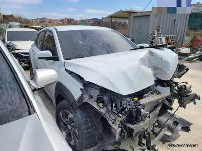 2020 Hyundai Kona KMHK381EGLU016312 VIN:KMHK381EGLU016312