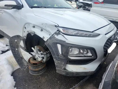 2020 Hyundai Kona KMHK4815GLU486967 VIN:KMHK4815GLU486967