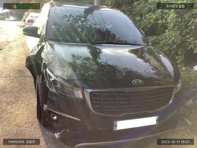 2019 Kia Carnival KNAMB81ABKS579049 VIN:KNAMB81ABKS579049