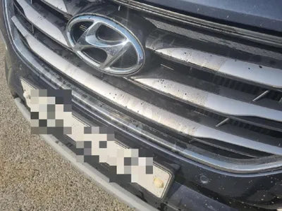 2017 Hyundai Santa FE KMHSW81UBJU831174 VIN:KMHSW81UBJU831174