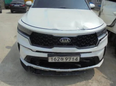 2021 Kia Sorento KNARL81BGMA079110 VIN:KNARL81BGMA079110