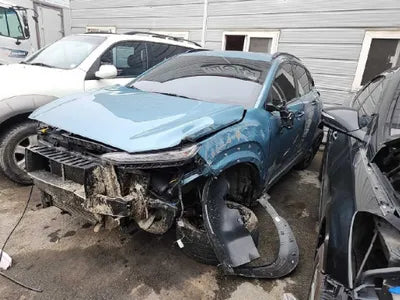 2019 Hyundai Kona KMHK3816GKU317975 VIN:KMHK3816GKU317975