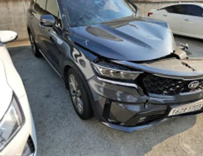 2021 Kia Sorento KNARL81BGMA078047 VIN:KNARL81BGMA078047