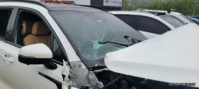 2022 Kia Sorento KNARH81GBNA067649 VIN:KNARH81GBNA067649