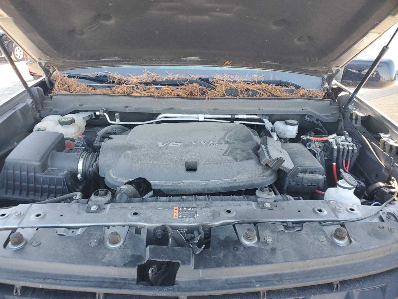 2022 CHEVROLET COLORADO Z71 VIN:1GCGTDEN7N1251262