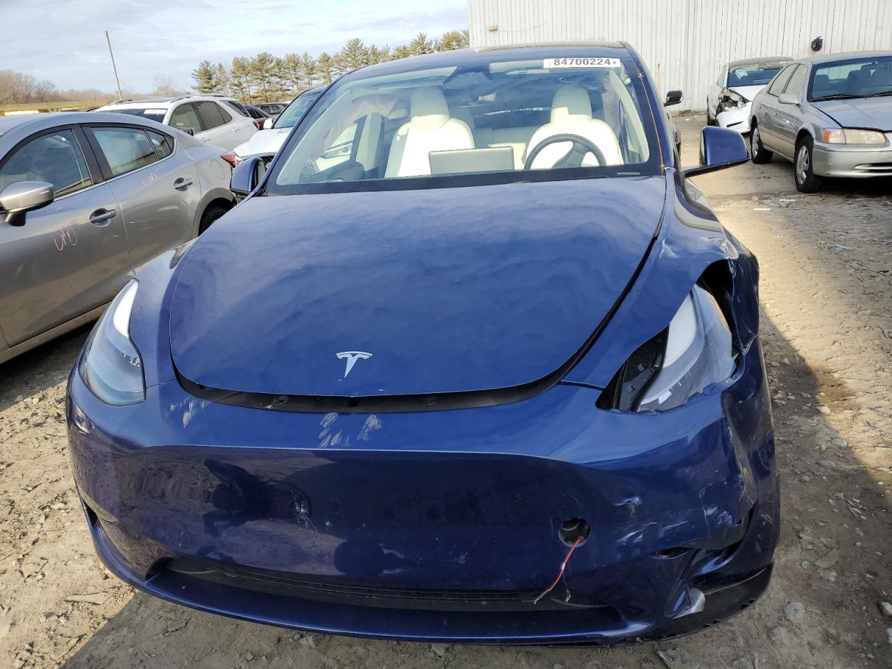 2024 TESLA MODEL Y  VIN:7SAYGDEF4RF026492