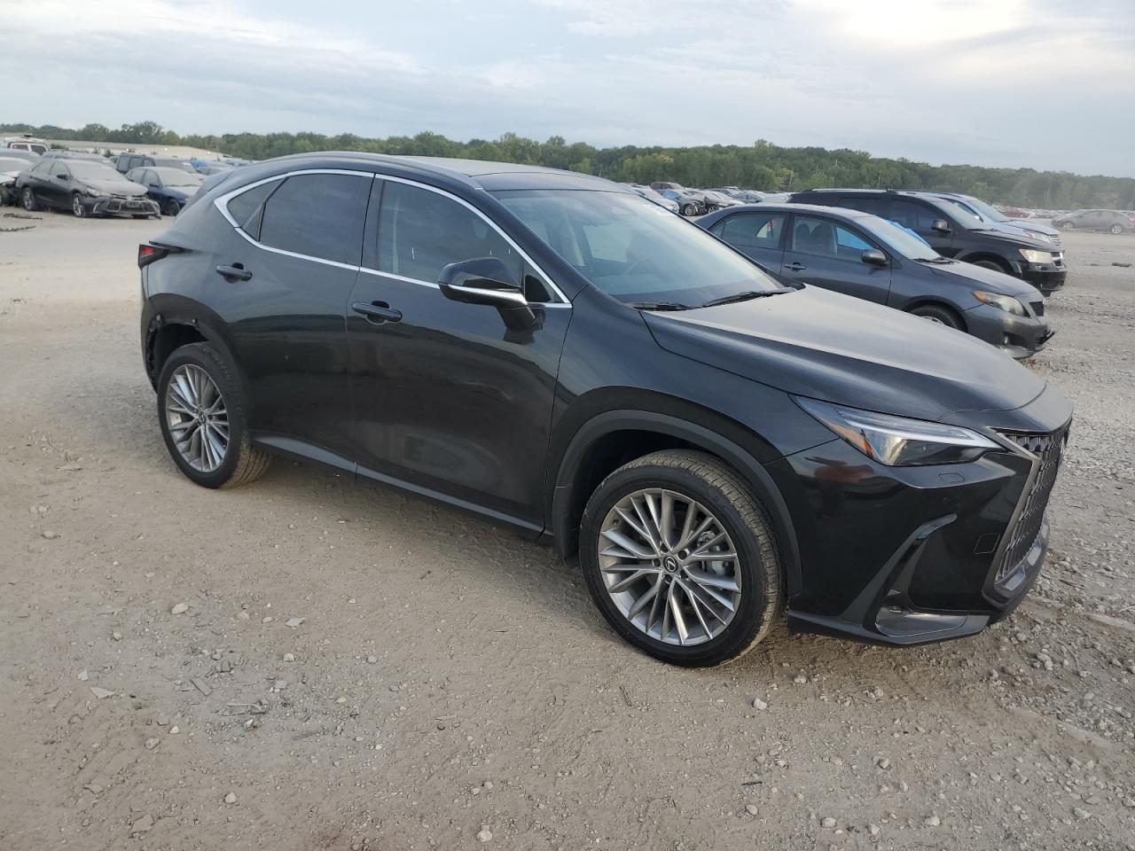 2024 LEXUS NX 350 LUXURY VIN:2T2HGCEZ6RC051878