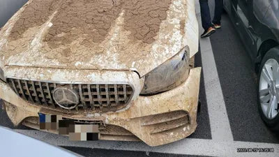 2019 Mercedes-Benz E 220 WDD1K1EB0KF115623 VIN:WDD1K1EB0KF115623