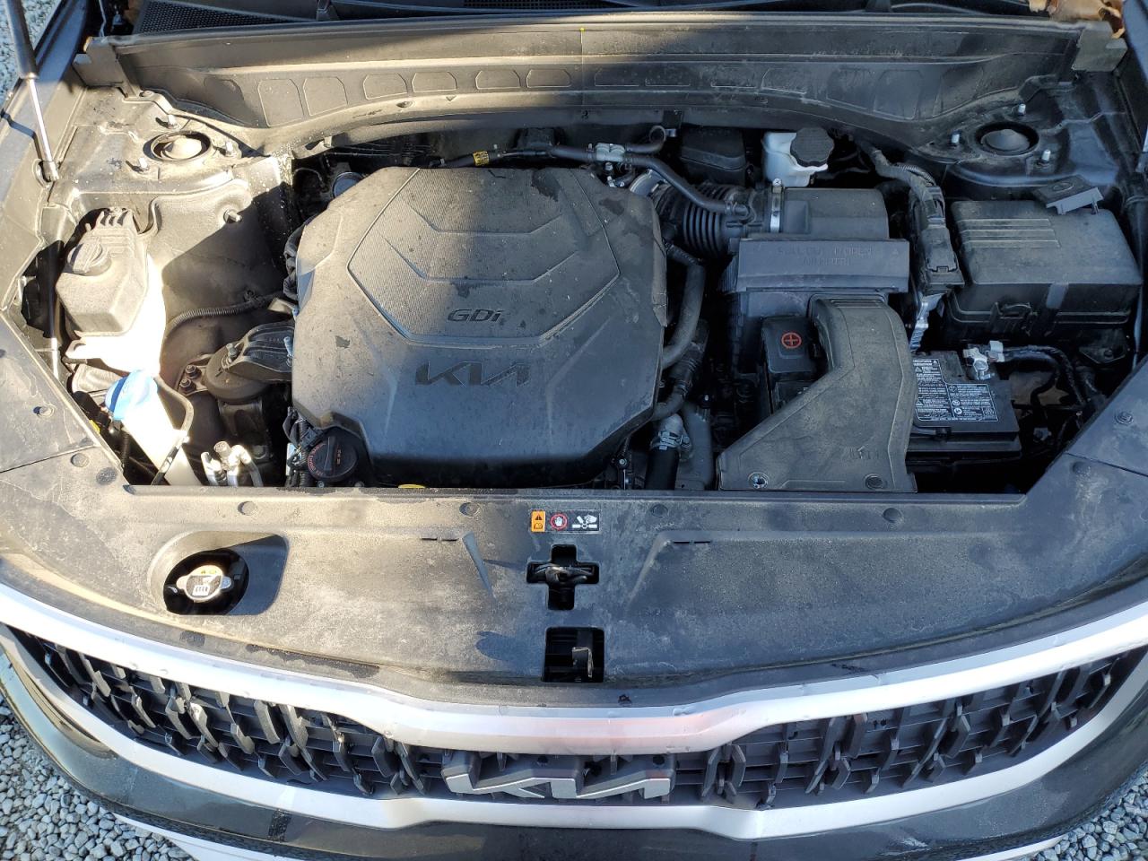 2023 KIA TELLURIDE LX VIN:5XYP2DGC4PG352731